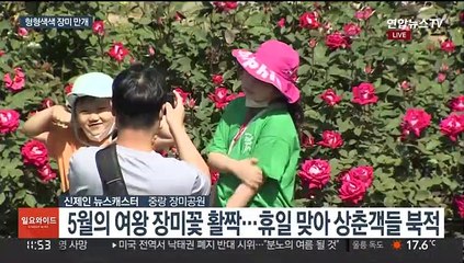 5월의 여왕 장미 활짝…축제장 상춘객 '북적'