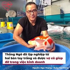 Vợ Cũ "Vua Cá Koi ViệT Nam" Khoe Nhan Sắc "Đỉnh Chóp" Hậu Ly Hôn | Điện Ảnh Net