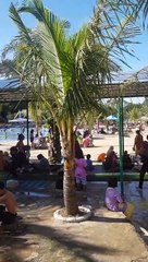 BERENANG SIANG SIANG AUTO GOSONG