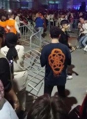 İrem Derici konserinde kavga çıktı, bariyerler havada uçuştu