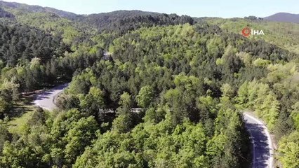 Yeşilin binbir tonu: Kazdağları