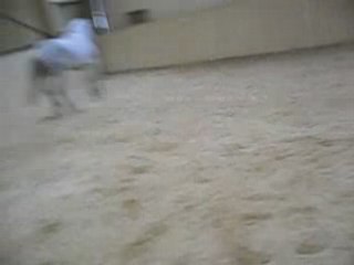 pepette ds le manège