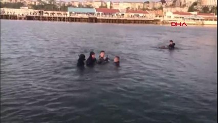 ŞİLE'DE PLAJA VURAN YUNUSU HAYATA DÖNDÜRDÜLER