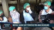 Mentan: Daging Sapi Terinfeksi PMK Aman Dikonsumsi Kecuali Jeroan