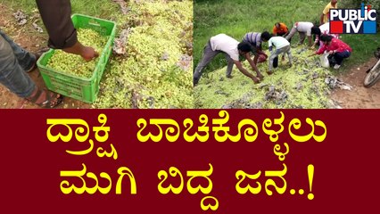 Mandya: ದ್ರಾಕ್ಷಿ ಬಾಚಿಕೊಳ್ಳಲು ಮುಗಿ ಬಿದ್ದ ಜನ..! | Grapes