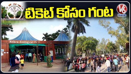 Huge Rush In Zoo Park With Summer Holidays _ Hyderabad _ V6 News