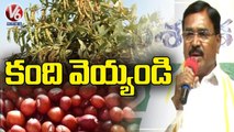 Minister Niranjan Reddy On Crop Cultivation For Next Season _ V6 News