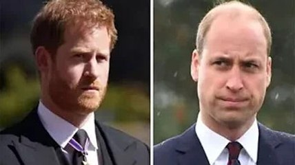 'Very little' communication between Prince Harry and William as family 'rattled' by memoir
