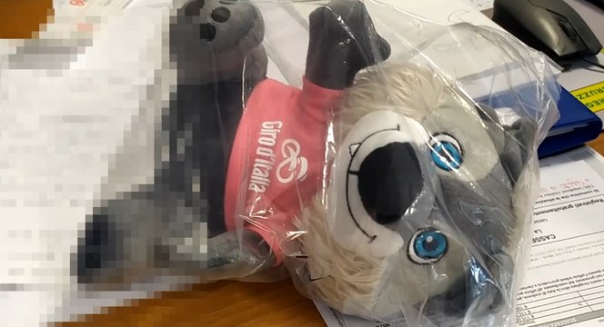 Pescara, sequestrati 4mila articoli contraffatti del Giro d’Italia (17.05.22)