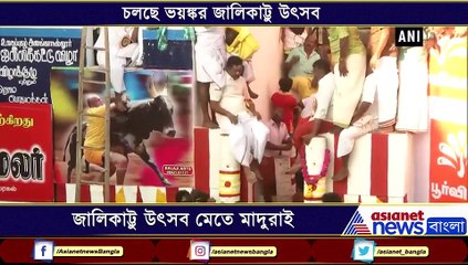 Bull tamers swarm to participate in Jallikattu in Madurai