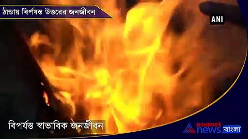 নতুন করে তুষারপাত কাশ্মীরের ডোডায়, বরফে অবরুদ্ধ হিমাচলের কুরফি-ফাগু