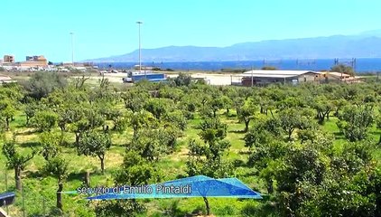 DEPOSITO GAS PISTUNINA FUORI DA ZES