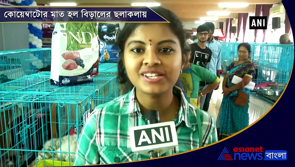 বিড়ালের ক্যাটওয়াকে মাত হল দর্শকরা, অভিনব আয়োজন কোয়েম্বাটোরে