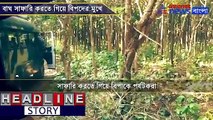 Tourist in danger at Bengal Safari Park