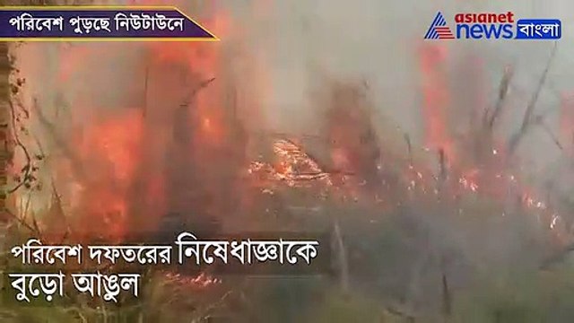 Fire causes environmental pollution in Newtown