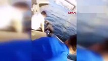 Fotoğraf çekerken Haliç'e düşen genci deniz polisi kurtardı