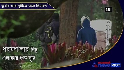 Fresh snowfall witnessed in Dharamshala