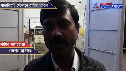 A wild elephant came straight to the madarihat station