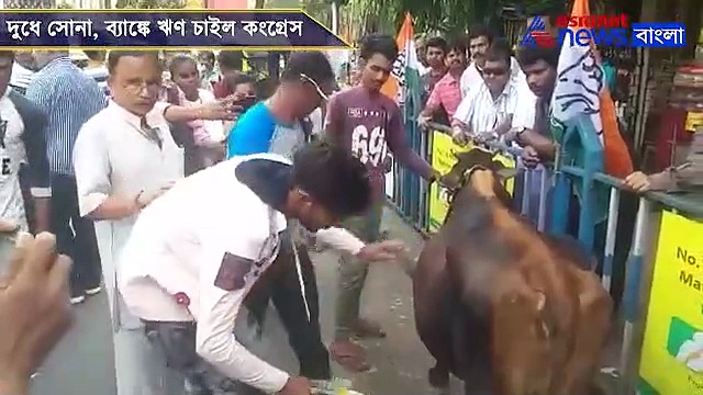 দুধে যখন সোনা, কেন ঋণ চাইব না বলছে কংগ্রেস
