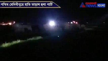 Hula Party take initiate to drivw away elephant froam the area