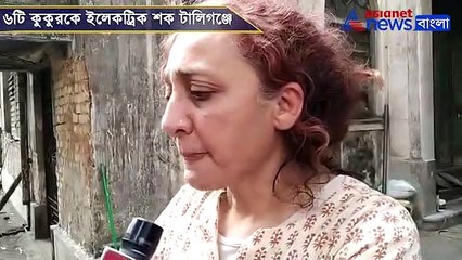 Woman alleges six Dogs were electrocuted in Tollygunge