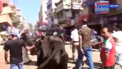 The unemployed youths appeared in the bank with a cow to get the loan