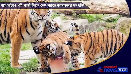 Couple from Kolkata on India tour to raise awareness about tiger