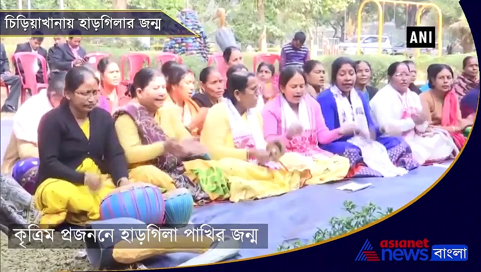 বিশ্বে প্রথমবার ঘটল এমন ঘটনা, কৃত্রিম প্রজননে জন্ম হল বিরল প্রজাতির হাড়গিলা পাখির