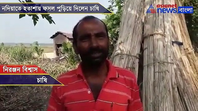 চরম হতাশা, ১৬ কাঠা জমির ফসল পুড়িয়ে দিলেন নদিয়ার কৃষক, দেখুন ভিডিও