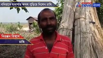 Frustrated farmer destroyed his own crops in Nadia