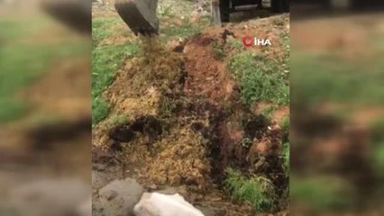 Son Dakika | Çamura saplanan inek itfaiye ekipleri tarafından kurtarıldı