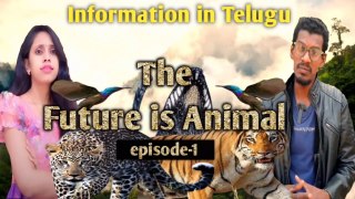 The Future is Animal || Tiger || Leopard || Penguin || Marine Iguana || Giant tortoise | #nature