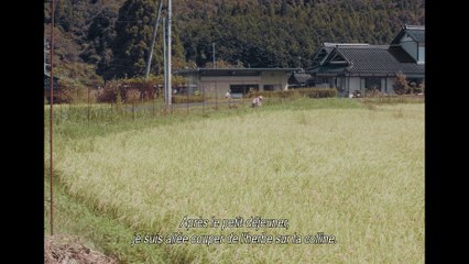 LES TRAVAUX ET LES JOURS Film