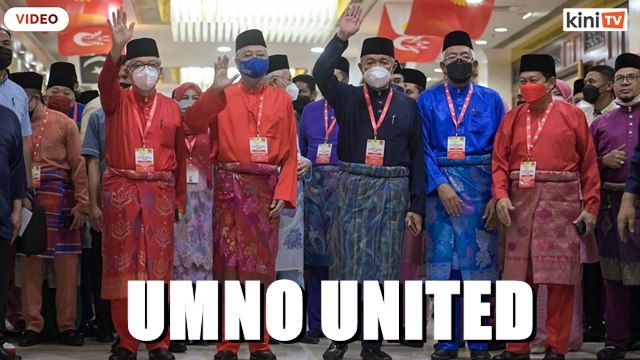 Umno leaders united in support of amendment to delay party polls