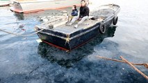 Arnavutköy sahilinde denizanası istilası