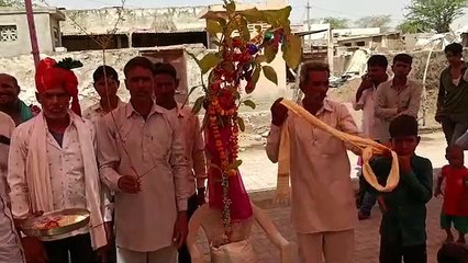 राजस्थान के इस गांव में करवाई पेङों की शादी