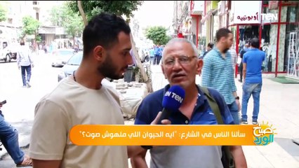 سألنا الناس في الشارع: "ايه الحيوان اللي ملهوش صوت؟ وكانت المفاجأة غير المتوقعة