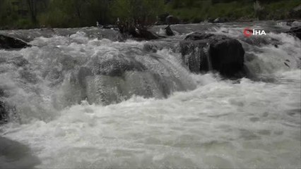 İnci kefali göçüne ziyaretçilerden yoğun ilgi