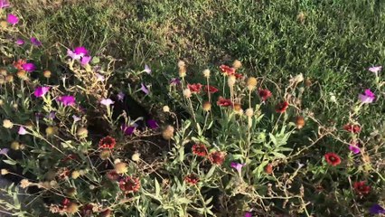 مدينة الخبر