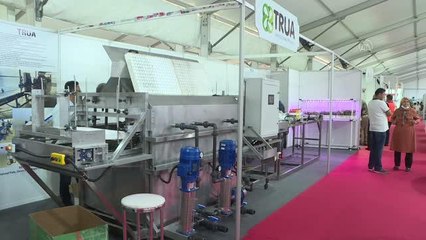 Sağlıklı fide yetiştiriciliği için üretilen yerli makineye yurt dışından ilgi