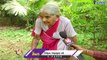 Old Women Farming  _ Grandma Grows Vegetables, Fruits And Runs Dairy Farm _ Ranga Reddy   _ V6 News