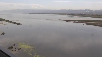 "Kuş Oteli" Hersek Lagünü'nde kuş türü sayısı 245'e yükseldi