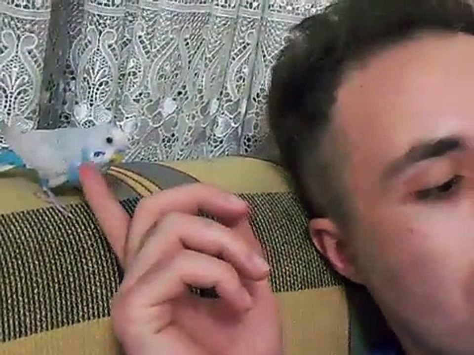 videoplayback (1)