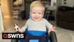 US toddler with spina bifida has mastered the use of his tiny wheelchair and can finally play with toys
