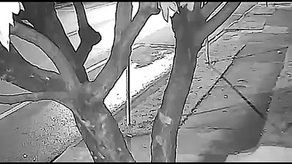 Imagens flagram batida de trânsito no Bairro Periolo