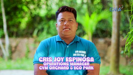 Iba't ibang AHA-mazing trivia tungkol sa gatas! | AHA!