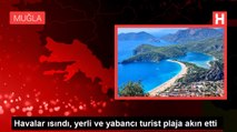 Bodrum'da havalar ısındı, yerli ve yabancı turistler plajlara akın etti