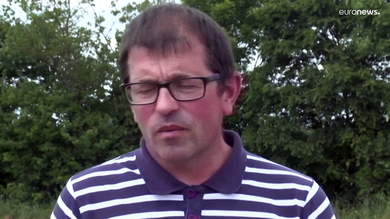 Europäische Landwirte denken um: Sonnenblumenanbau statt Mais, Raps oder Getreide