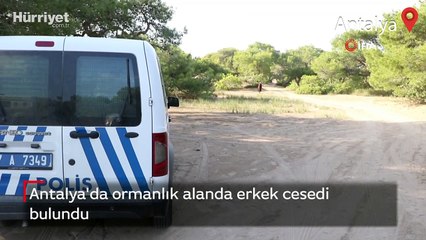 Antalya'da ormanlık alanda erkek cesedi bulundu