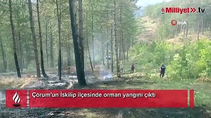 Çorum'da orman yangını
